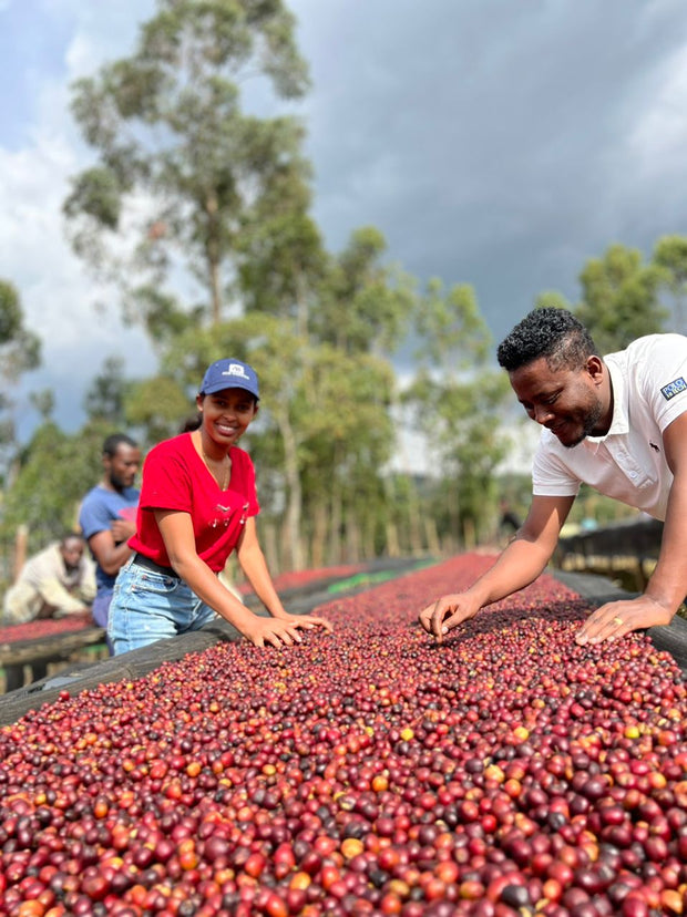Ethiopia 🇪🇹 (Fruity Blend) - Kizuna Roaster & Co.